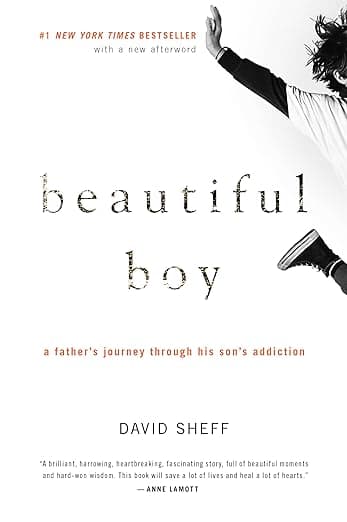 Beautiful Boy book cover